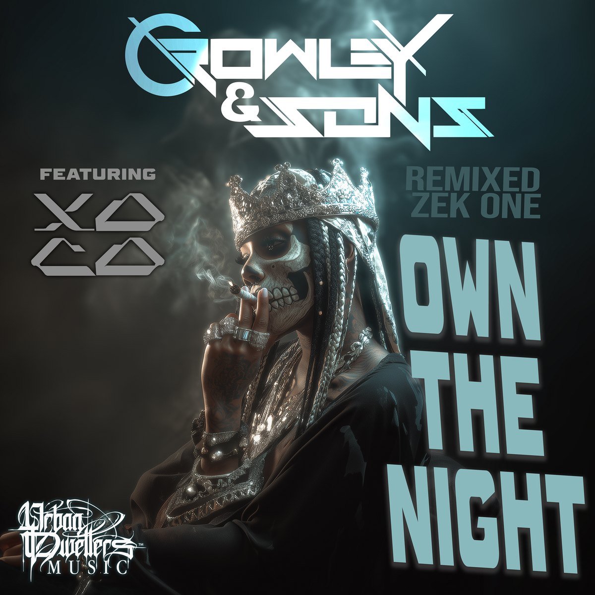 Own the Night cover art